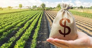 Farmer Loans
